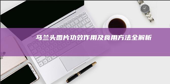 马兰头图片：功效、作用及食用方法全解析